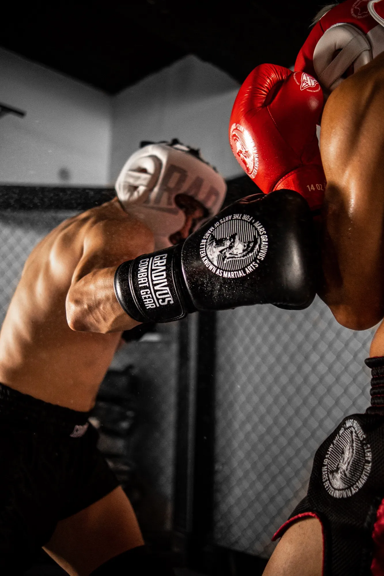 Dos peleadores en clinch con guantes Gradivus
