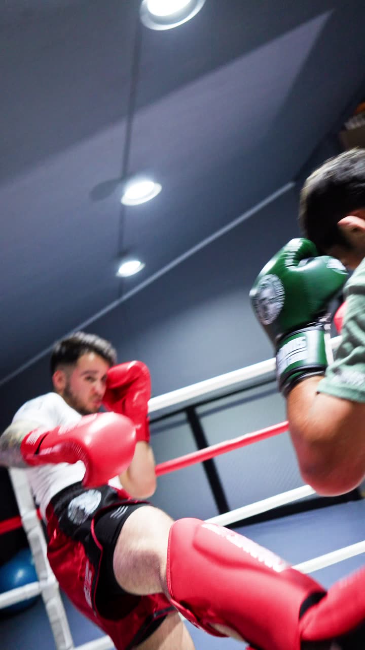Sparring con guantes y canilleras SparPro de Gradivus