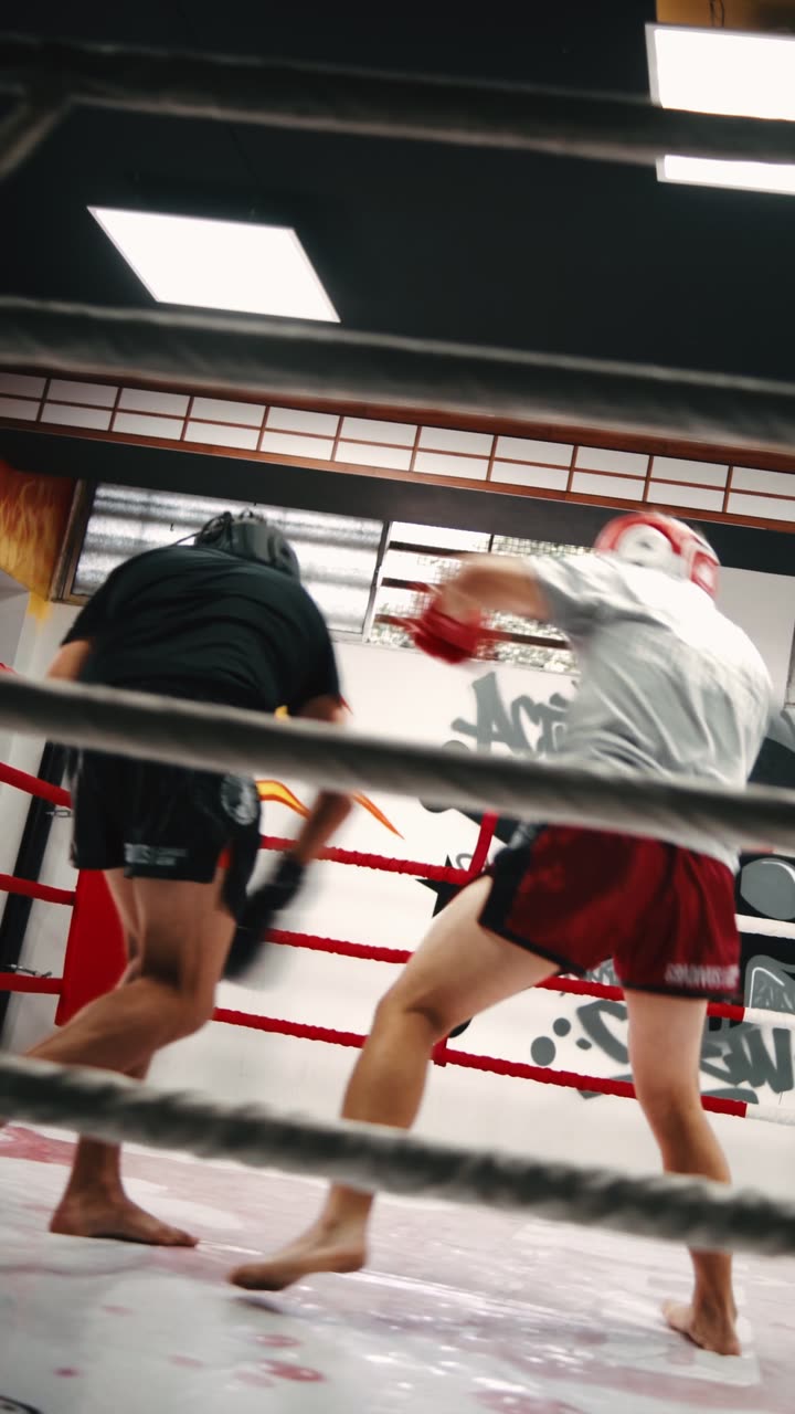 Sparring con la línea SparPro de Gradivus