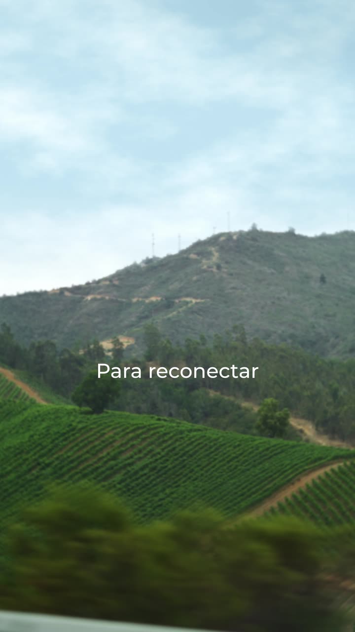Modelo con maleta Saxoline, versión vertical alternativa